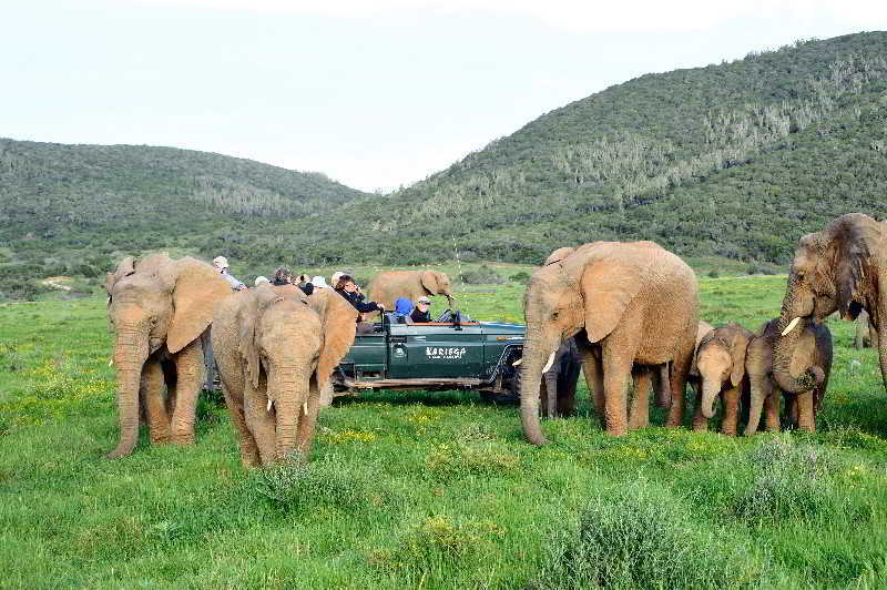 Kariega Game Reserve Bushman's River Mouth 외부 사진