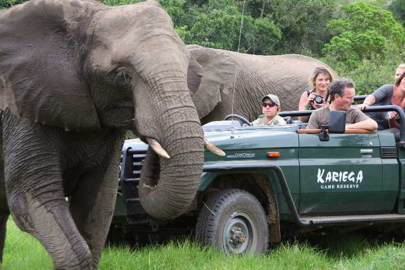 Kariega Game Reserve Bushman's River Mouth 외부 사진