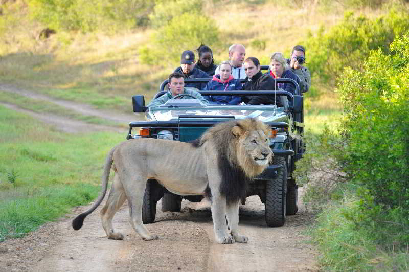 Kariega Game Reserve Bushman's River Mouth 외부 사진