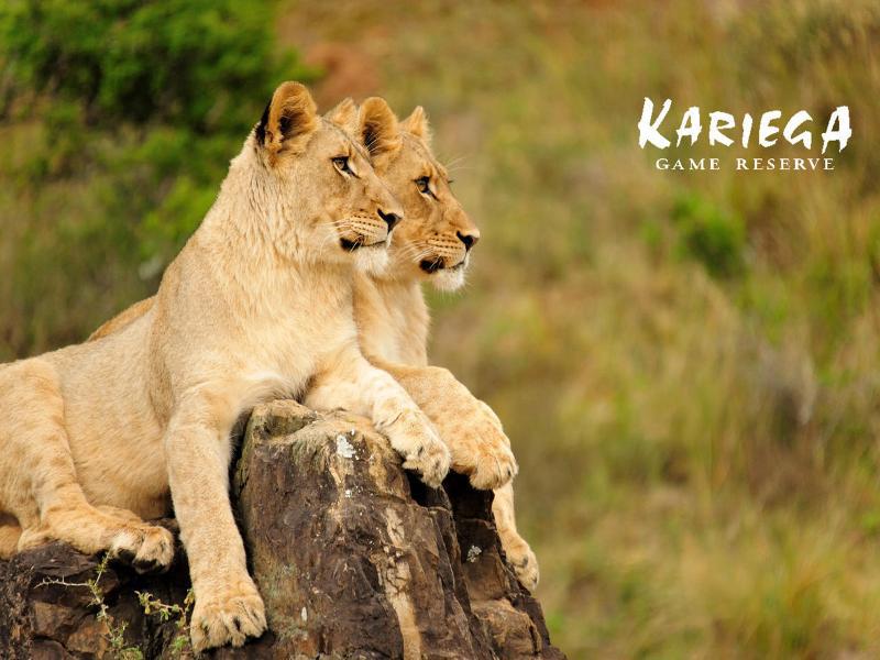 Kariega Game Reserve Bushman's River Mouth 외부 사진